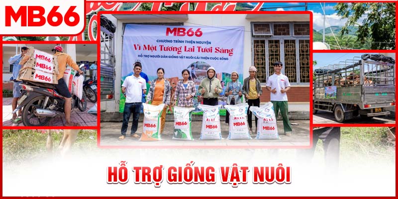 MB66 Hỗ Trợ Giống Vật Nuôi Giúp Người Dân Quảng Ngãi Cải Thiện Sinh Kế